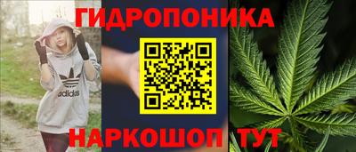 бошки Партизанск